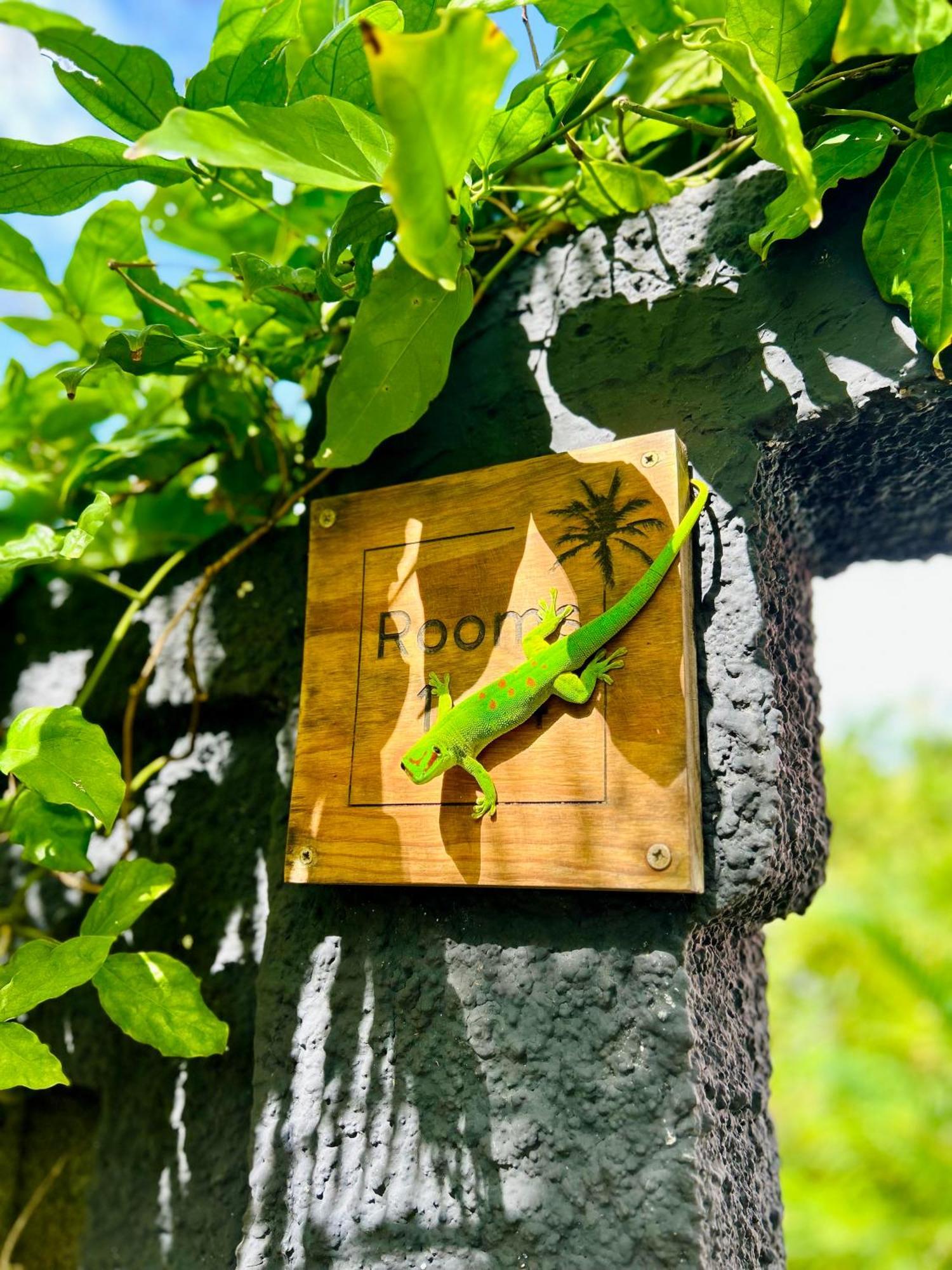 The Good Life - Eco Lodges & Serenity Boutique Hotel - Adults Only Cap Malheureux Zewnętrze zdjęcie